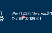 Win11运行VMware蓝屏怎么办?四种方法搞定!