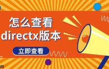 怎么查看directx版本 图文教程分享