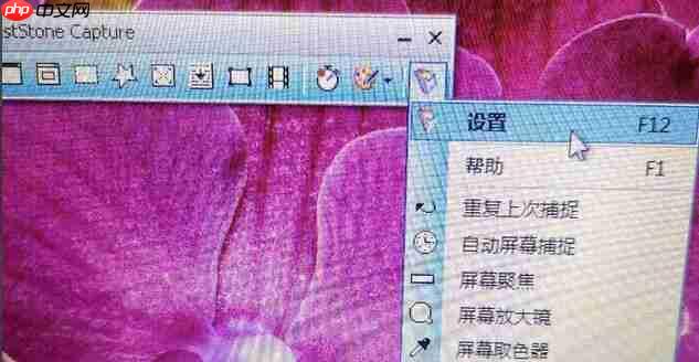 FastStone Capture怎么设置延迟捕捉
