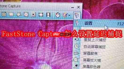 faststone capture怎么设置延迟捕捉