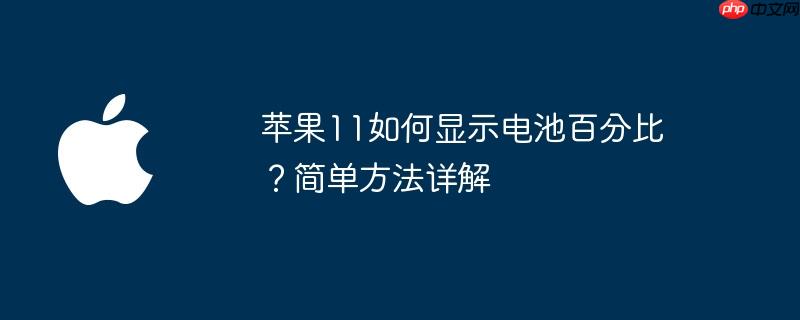 苹果11如何显示电池百分比？简单方法详解