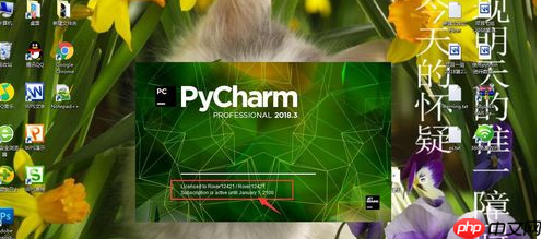 PyCharm怎么查看有效期