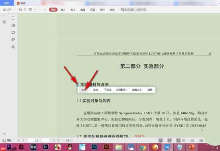 WPS中字体样式怎么查看