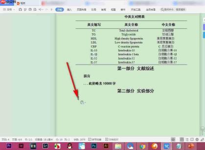 WPS中字体样式怎么查看