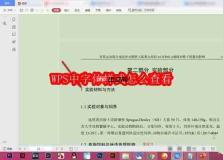 wps中字体样式怎么查看