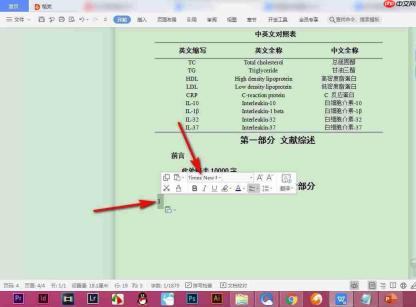 WPS中字体样式怎么查看