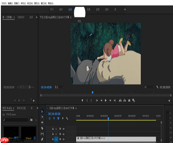 Premiere中出现视频预览黑屏解决方法