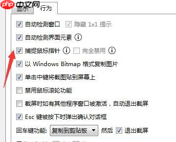 Snipaste如何滚动截图