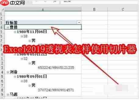 excel2019透视表怎样使用切片器