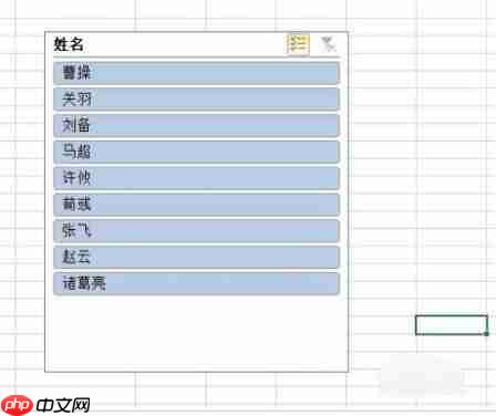 Excel2019透视表怎样使用切片器