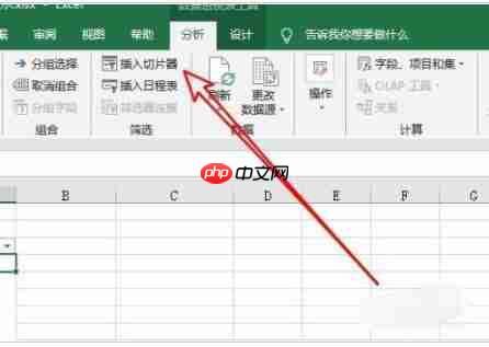 Excel2019透视表怎样使用切片器