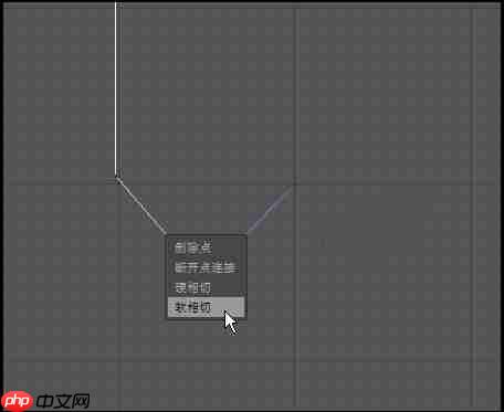 C4D中怎样将样条线变成实体模型