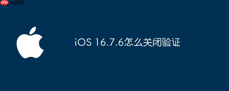 ios 16.7.6怎么关闭验证