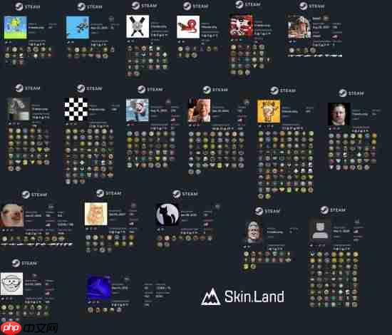 v社员工steam账号调查 仅19人cs2账号处于活跃状态