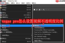 vegas pro怎么设置视频不透明度比例