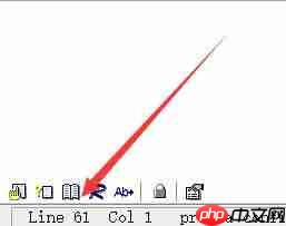 source insight如何显示行数