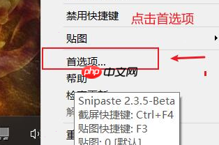 snipaste怎样设置开机启动