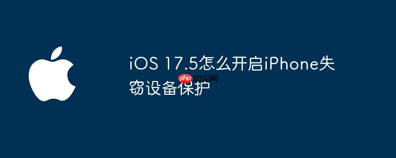 ios 17.5怎么开启iphone失窃设备保护