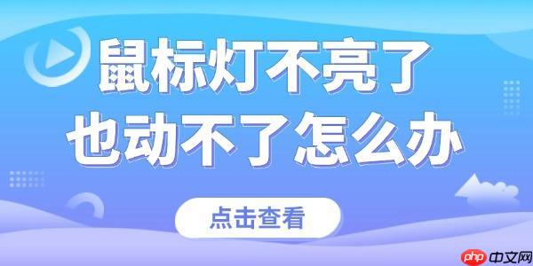 鼠标灯不亮了也动不了怎么办 快速解决鼠标故障
