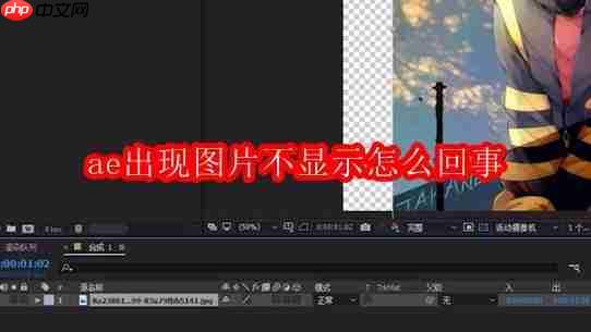 ae出现图片不显示怎么回事