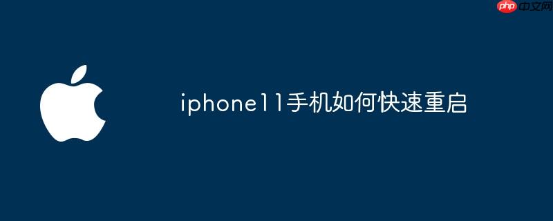 苹果11手机如何重启 iphone11 如何重启手机