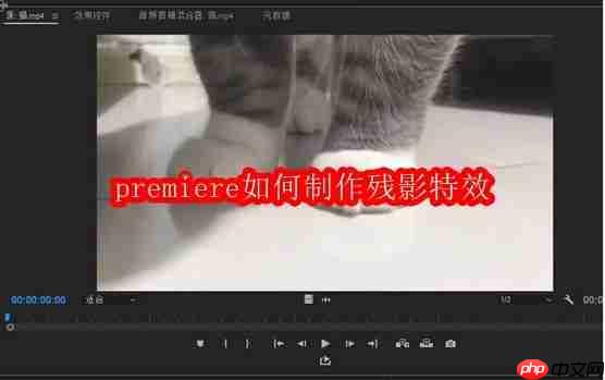 premiere如何制作残影特效
