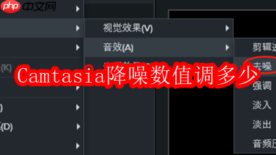 camtasia降噪数值调多少