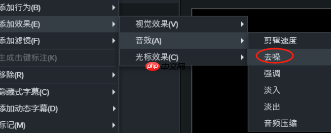 Camtasia降噪数值调多少