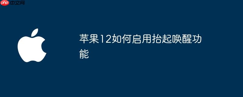 苹果12如何启用抬起唤醒功能