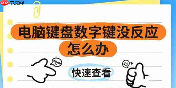 电脑键盘数字键没反应怎么办 一文带你解决