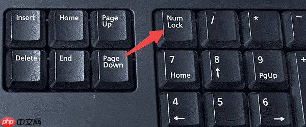 电脑键盘数字键没反应怎么办 一文带你解决