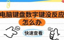 电脑键盘数字键没反应怎么办 一文带你解决