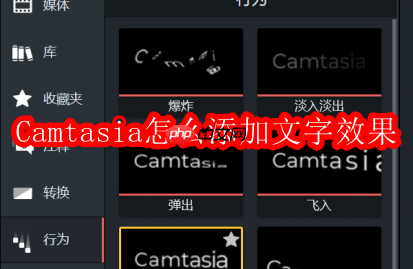 camtasia怎么添加文字效果