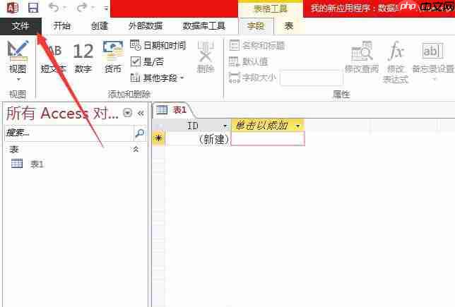 Access數(shù)據(jù)庫圖片數(shù)據(jù)怎么轉換成位圖