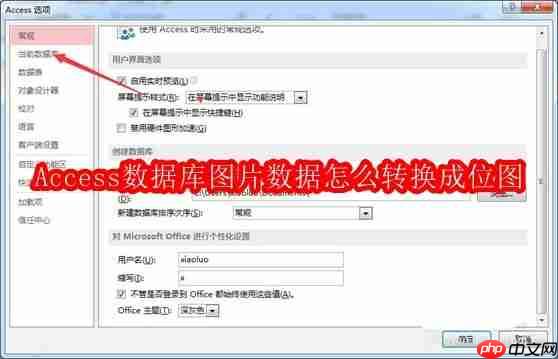access數(shù)據(jù)庫圖片數(shù)據(jù)怎么轉換成位圖