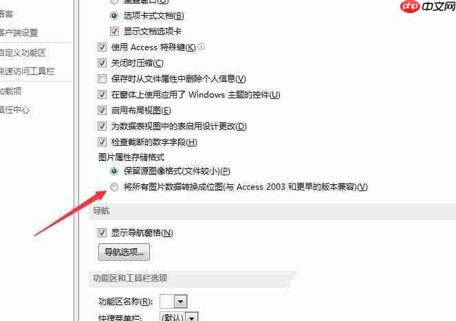 Access數(shù)據(jù)庫圖片數(shù)據(jù)怎么轉換成位圖