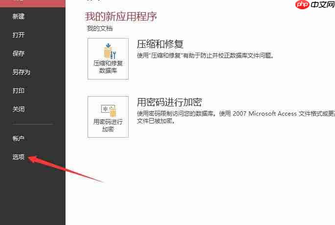 Access數(shù)據(jù)庫圖片數(shù)據(jù)怎么轉換成位圖