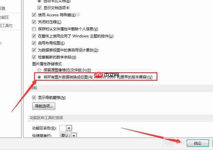 Access數(shù)據(jù)庫圖片數(shù)據(jù)怎么轉換成位圖