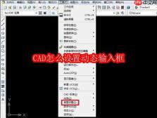 CAD怎么设置动态输入框