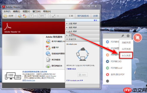 Adobe Reader XI如何关闭悬浮窗口