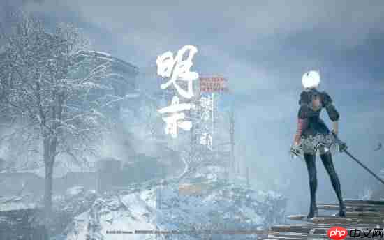 大佬自制《明末：渊虚之羽》无常变2B的Mod！身材极其完美