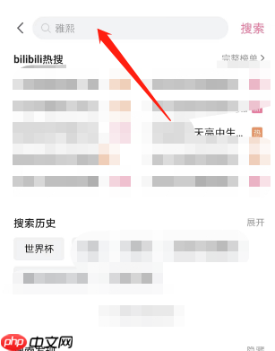 哔哩哔哩如何查看2022世界杯？哔哩哔哩查看2022世界杯教程