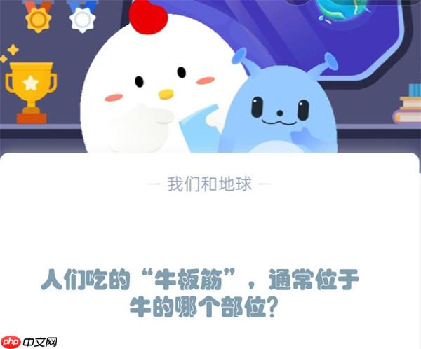 人们吃的“牛板筋”，通常位于牛的哪个部位?支付宝蚂蚁庄园12月5日答案
