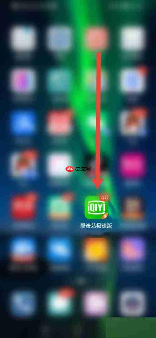 爱奇艺极速版怎么查看营业执照？爱奇艺极速版查看营业执照教程