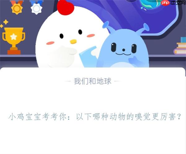 小鸡宝宝考考你：以下哪种动物的嗅觉更厉害?支付宝蚂蚁庄园11月8日答案