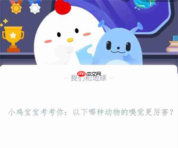小鸡宝宝考考你：以下哪种动物的嗅觉更厉害?支付宝蚂蚁庄园11月8日答案