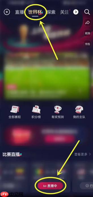 抖音2022世界杯直播怎么开启字幕？抖音2022世界杯直播开启字幕方法