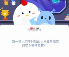 猜一猜人们平时吃的小米最早培育自以下哪种植物?支付宝蚂蚁庄园11月16日答案