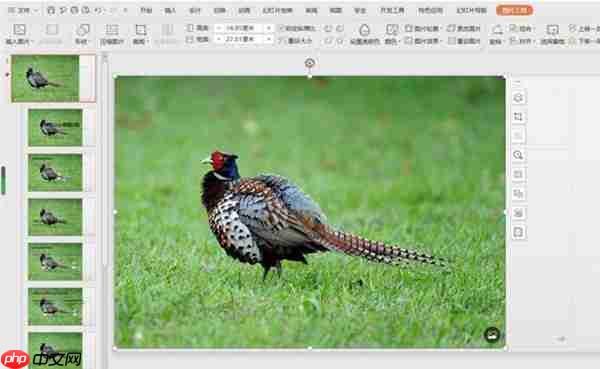 PPT如何修改母版背景图片