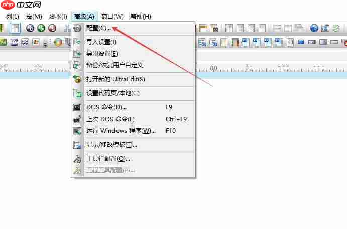 UltraEdit怎么关闭自启动正则表达式